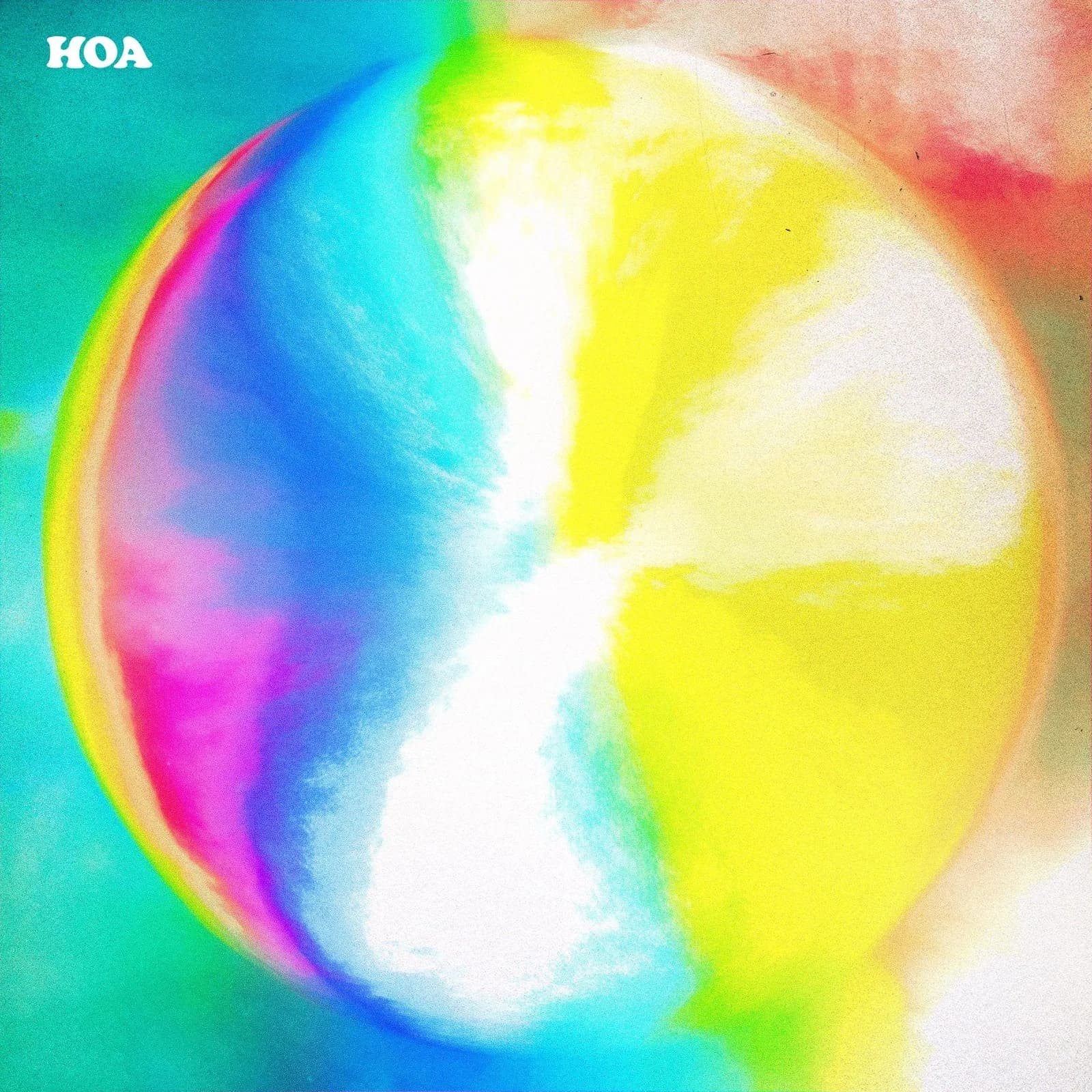 밴드 호아 (Band Hoa) — 꽃