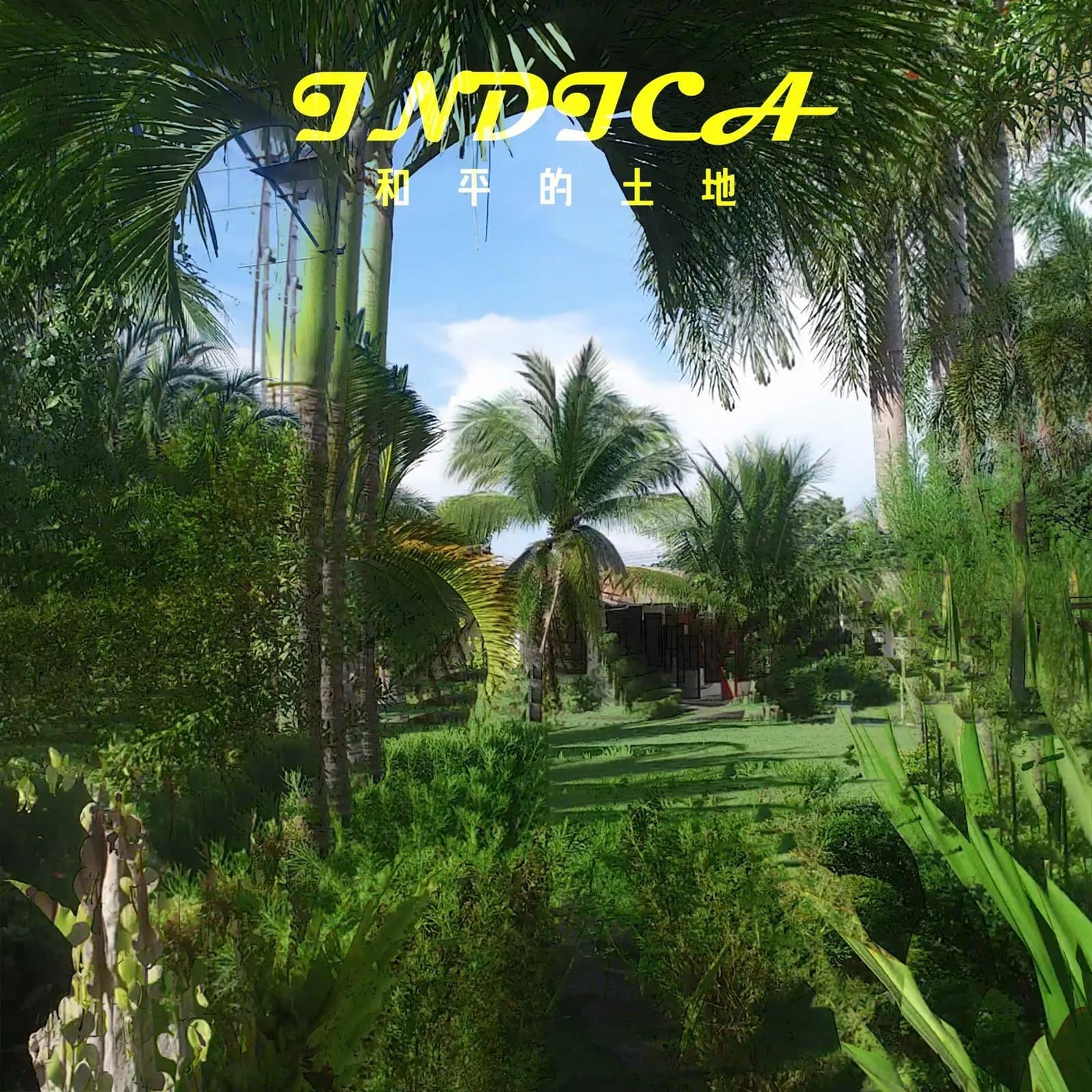Land of peace (랜드오브피스), Motte (모트) — Indica