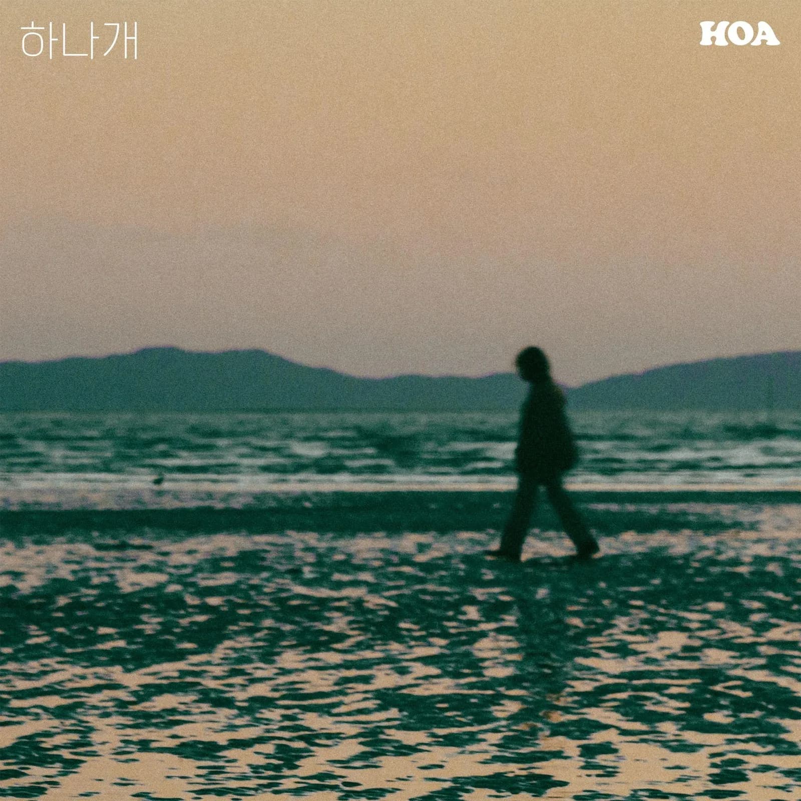 밴드 호아 (Band Hoa) — 하나개