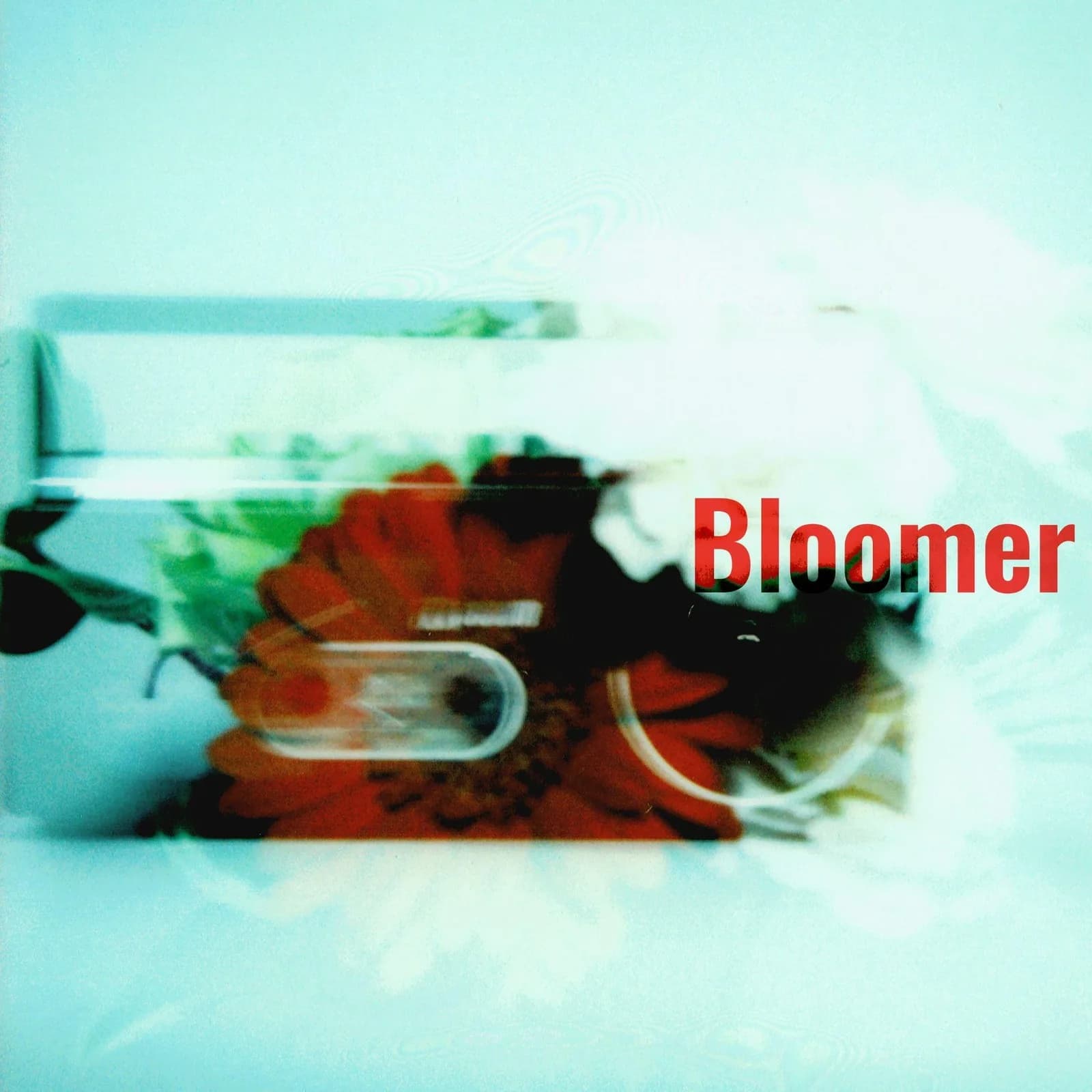 밴드 호아 (Band Hoa) — Bloomer