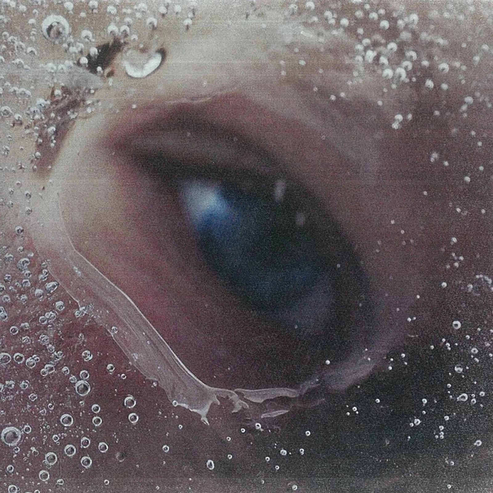 HACO — Overwinter